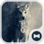 fantasy wolf android application logo